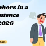 Metaphors in a Sentence