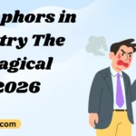 Metaphors in Poetry The Magical