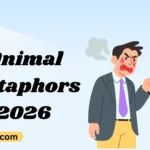 Animal Metaphors