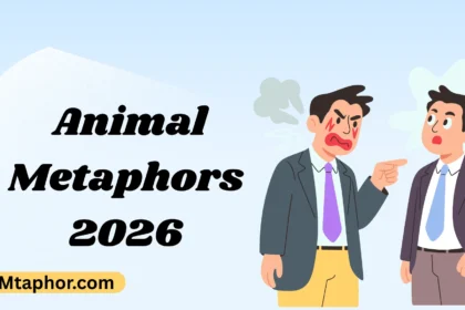 Animal Metaphors