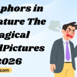 Metaphors in Literature The Magical Word-Pictures!2026