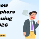 Snow Metaphors Meaning