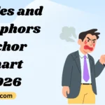 Similes and Metaphors Anchor Chart