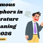 Famous Metaphors in Literature Meaning