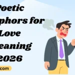 Poetic Metaphors for Love Meaning