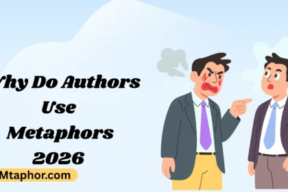 Why Do Authors Use Metaphors