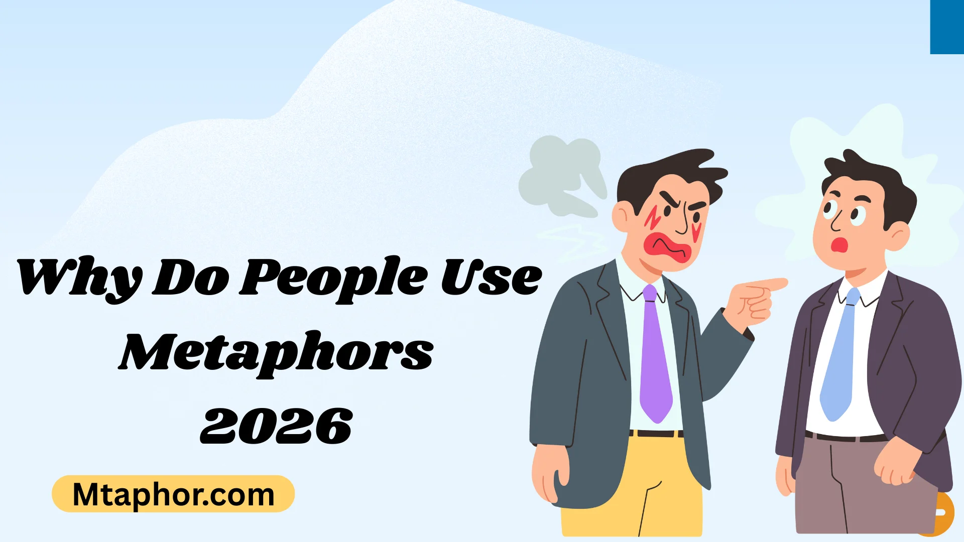 Why Do People Use Metaphors