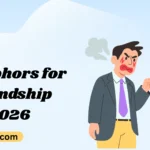 Metaphors for Friendship