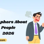 Metaphors About People