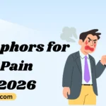 Metaphors for Pain