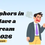 Metaphors in I Have a Dream