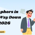 Metaphors in Long Way Down