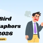 Bird Metaphors