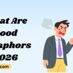 What Are Good Metaphors