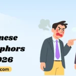 Chinese Metaphors