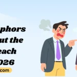 Metaphors About the Beach