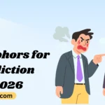 Metaphors for Addiction