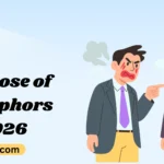 Purpose of Metaphors