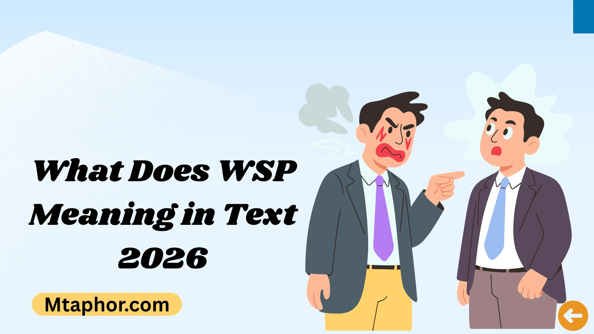 What Does WSP Meaning in Text