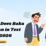 What Does Baka Mean in Text