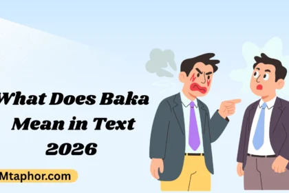 What Does Baka Mean in Text
