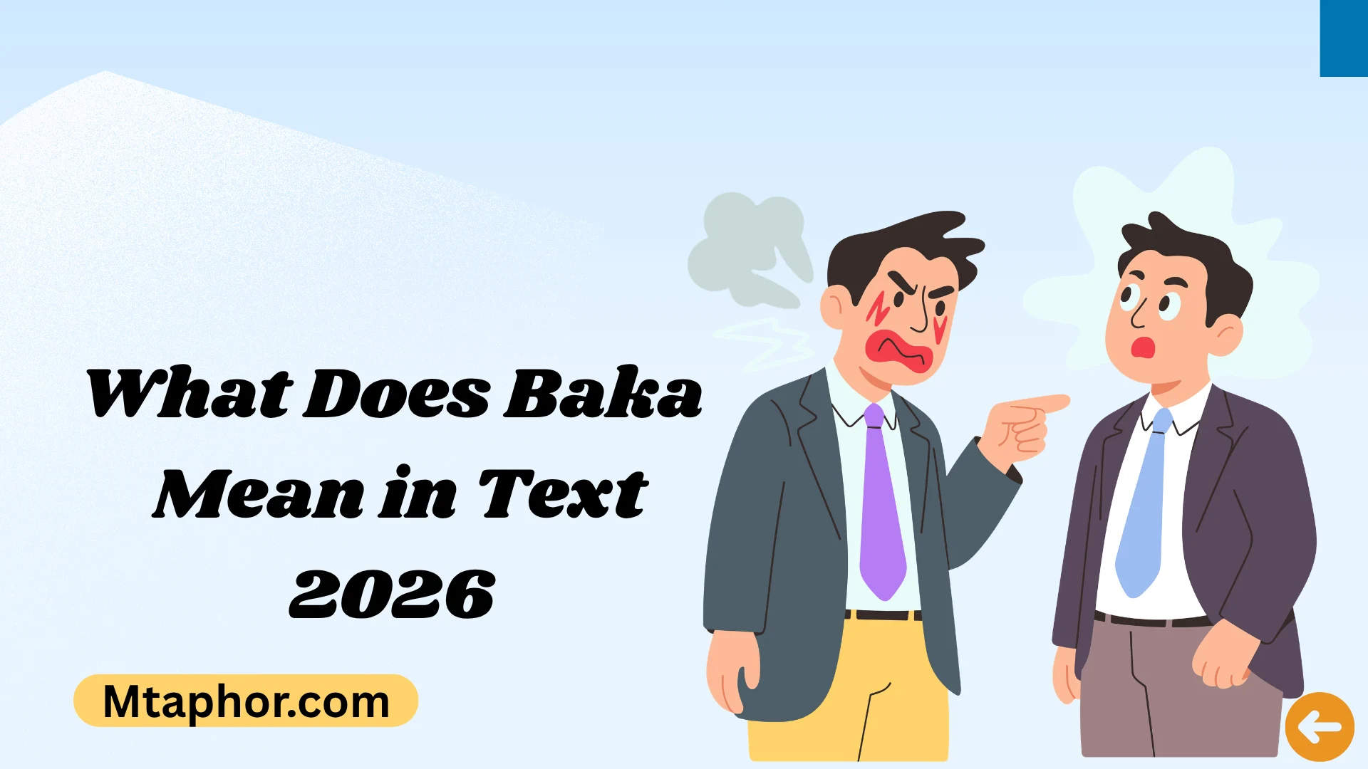 What Does Baka Mean in Text