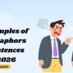 Examples of Metaphors Sentences