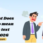 What Does pmo mean in text